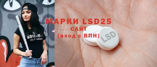 ПСИЛОЦИБИНОВЫЕ ГРИБЫ Строитель