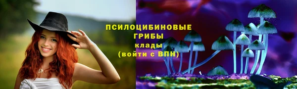 PSILOCYBIN Вязники