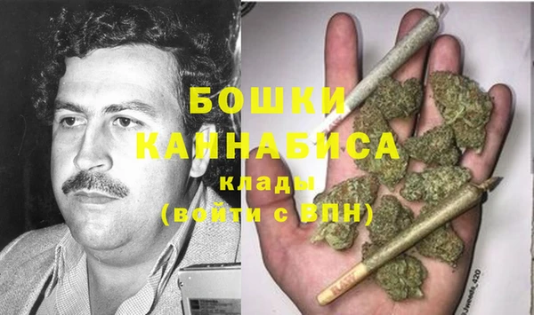 ПСИЛОЦИБИНОВЫЕ ГРИБЫ Строитель