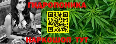 бошки Анапа