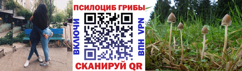 Псилоцибиновые грибы мухоморы  сайты даркнета официальный сайт  мега ТОР  Снежинск  продажа наркотиков 